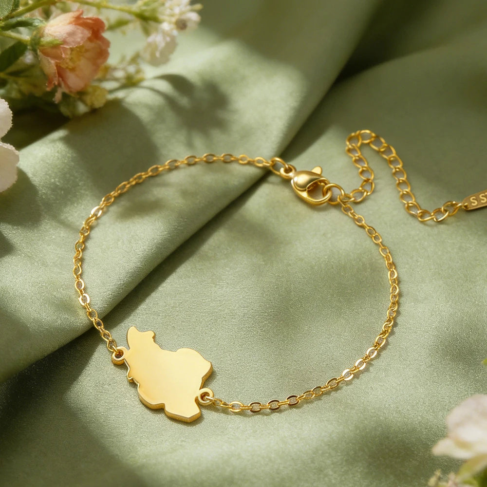 Iran Map Bracelet – Minimal Persian Design | Stainless Steel | Mehrbunoo