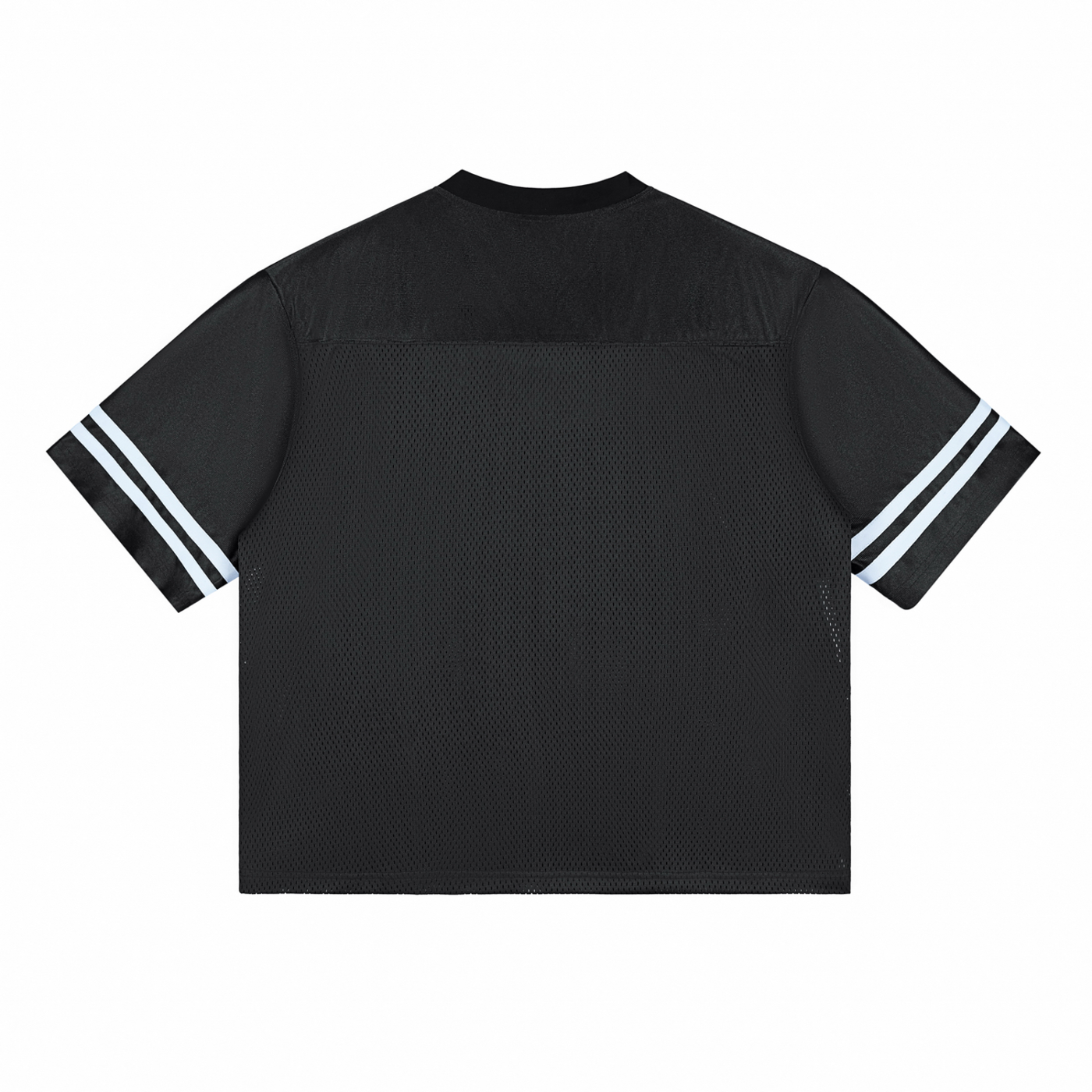 Taped Mesh T-Shirt | Sun and Lion Flag | Mehrbunoo